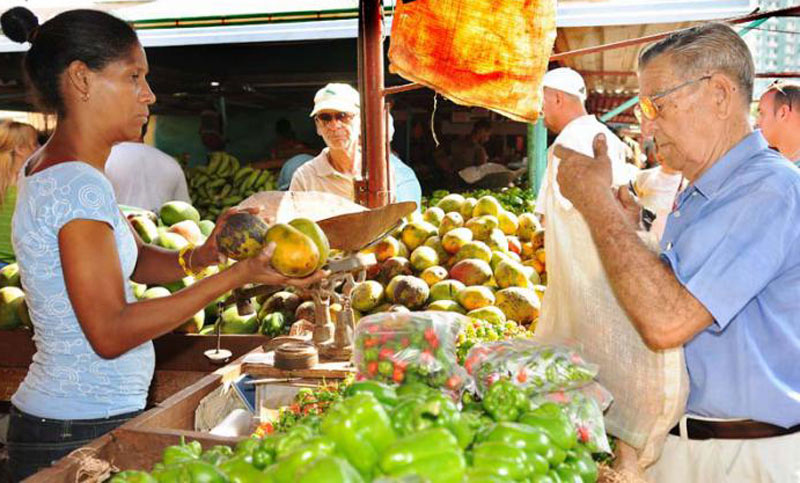 feria agro 2