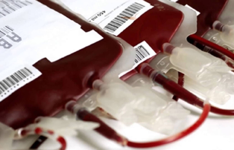 sangre