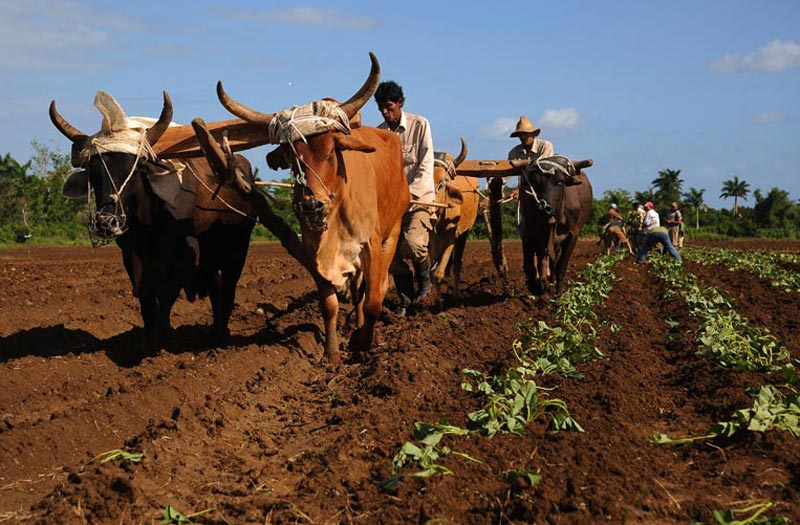 capacitacion agricultura 2