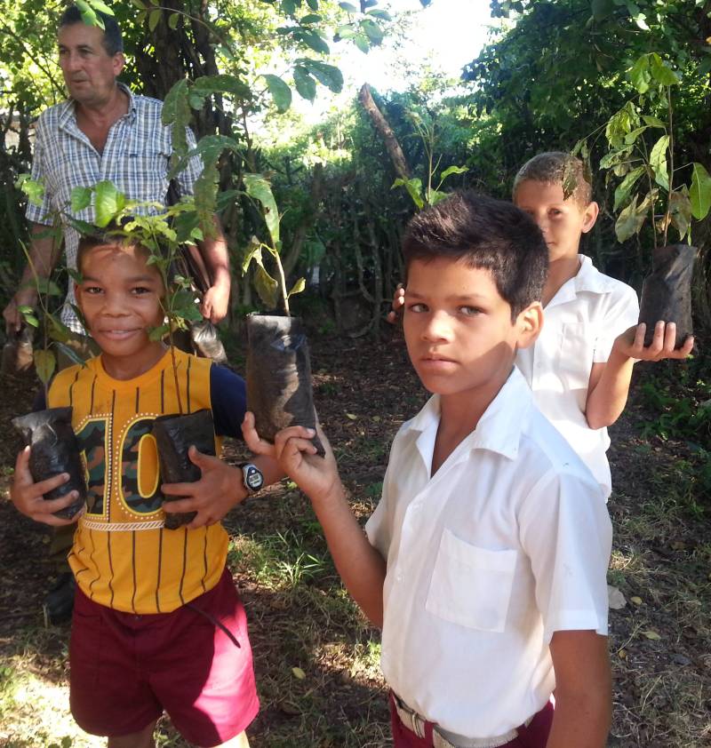 reforestacion ninos3