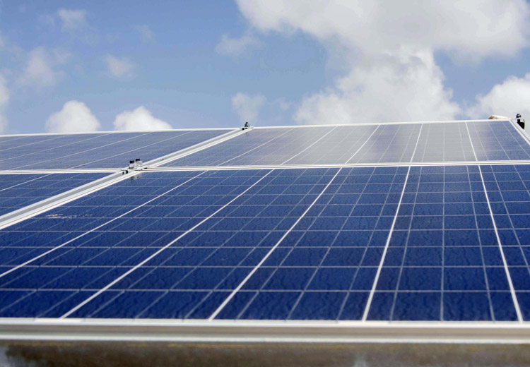 Fotos: ACN energía solar 1