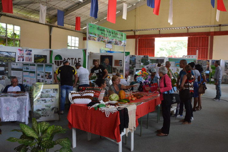 expo ciencia 3