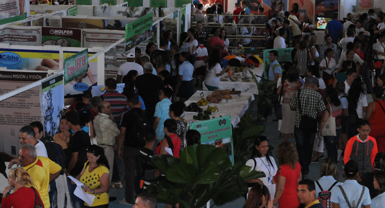 expociencia 1