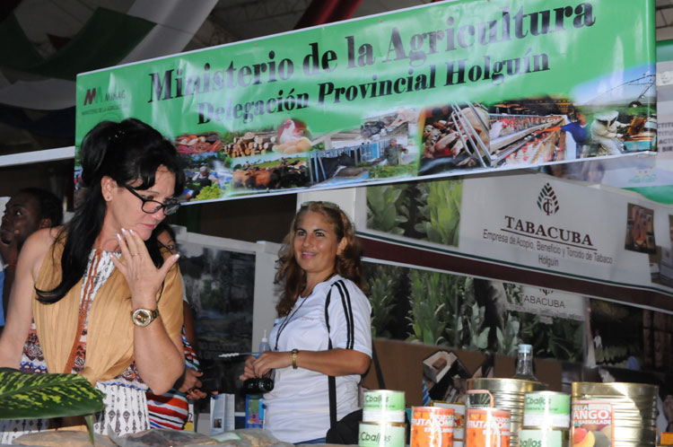 expociencia 4