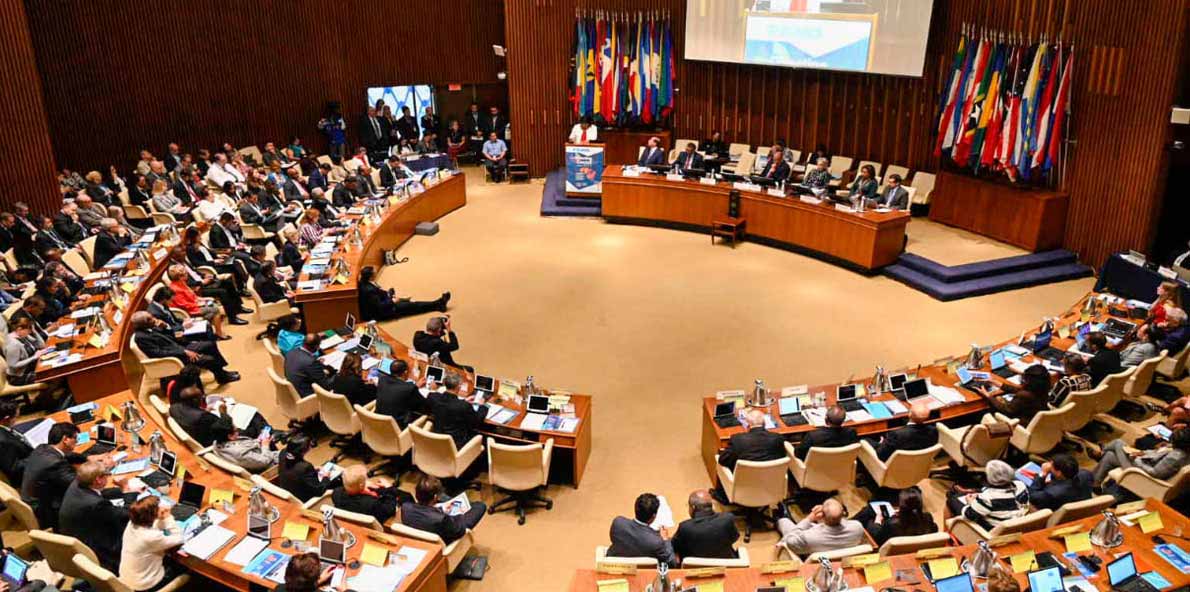 PAHO session