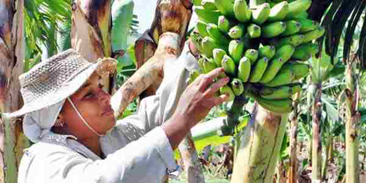 mujer rural