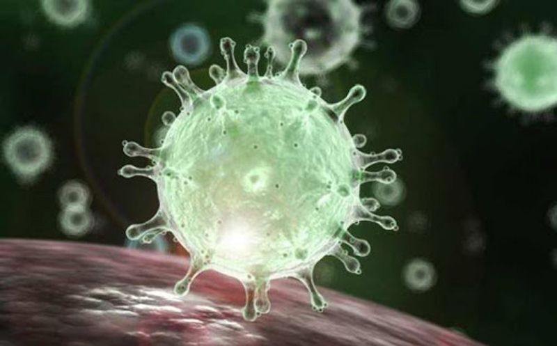 corona virus 2