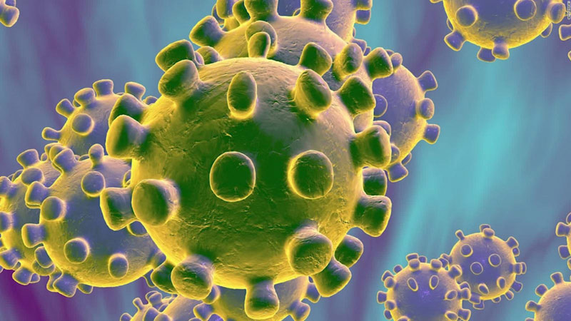 coronavirus 