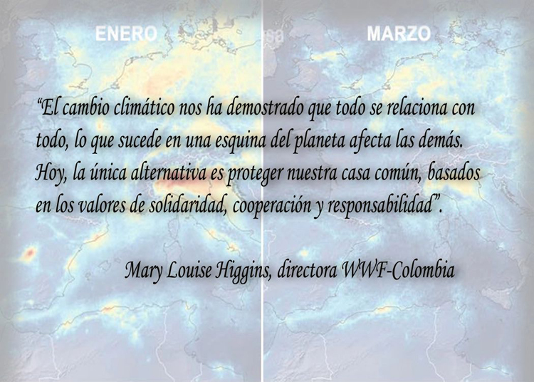 Imagen 5Frase