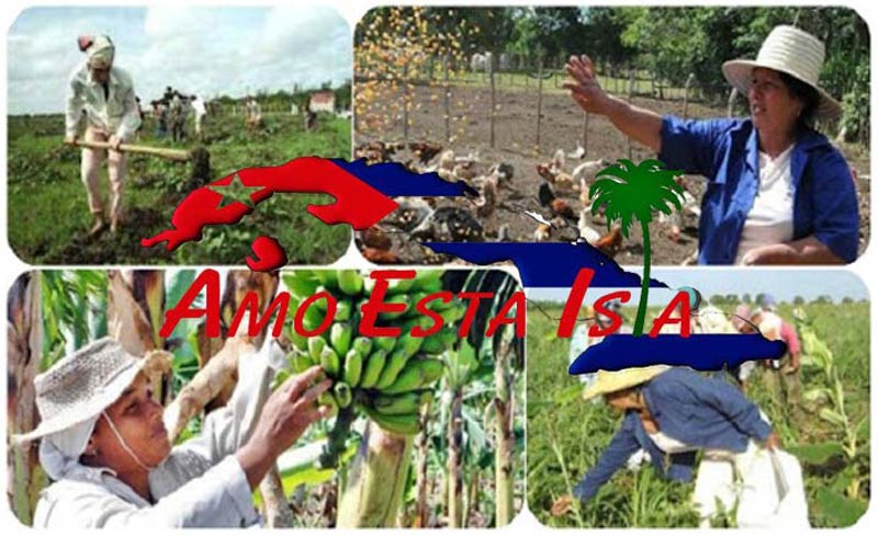 amo esta isla 00