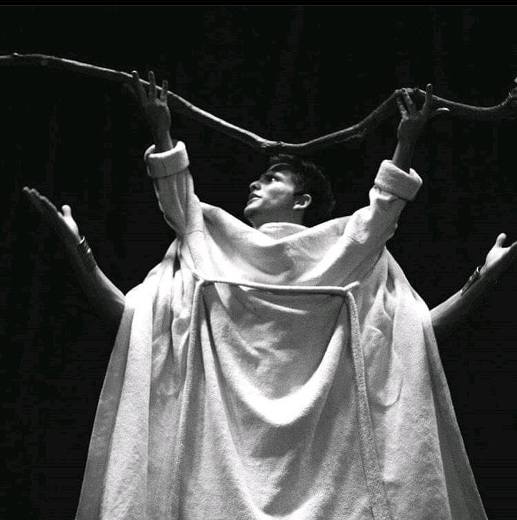 Obra de teatro Sueño de una noche de verano. Fotos: Cortesía del entrevistado victor7
