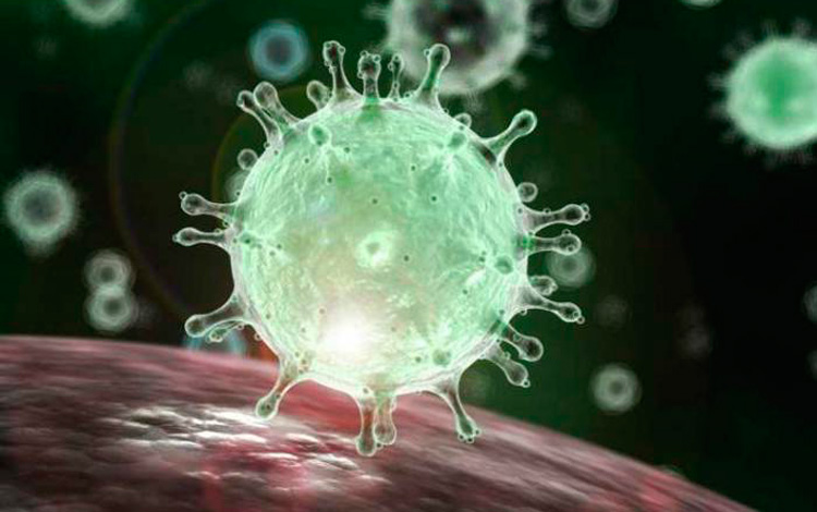 virus
