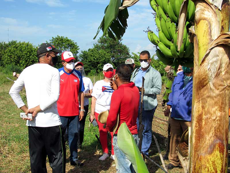 comunidad recorrido ATH 7