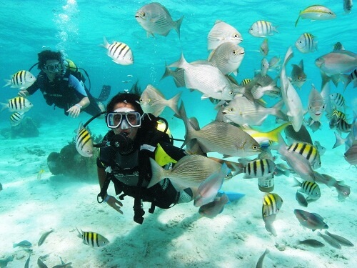 scuba diving in cuba