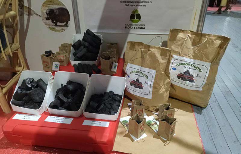 expocaribe Holguín 3