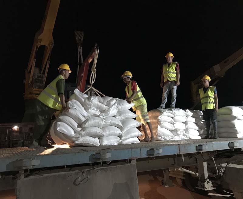 Los trabajadores del Puerto de Vita están inmersos en la descarga del arroz, destinado a completar la canasta básica del mes de noviembre. Fotos: Jorge Fernández Pérez Foto 11