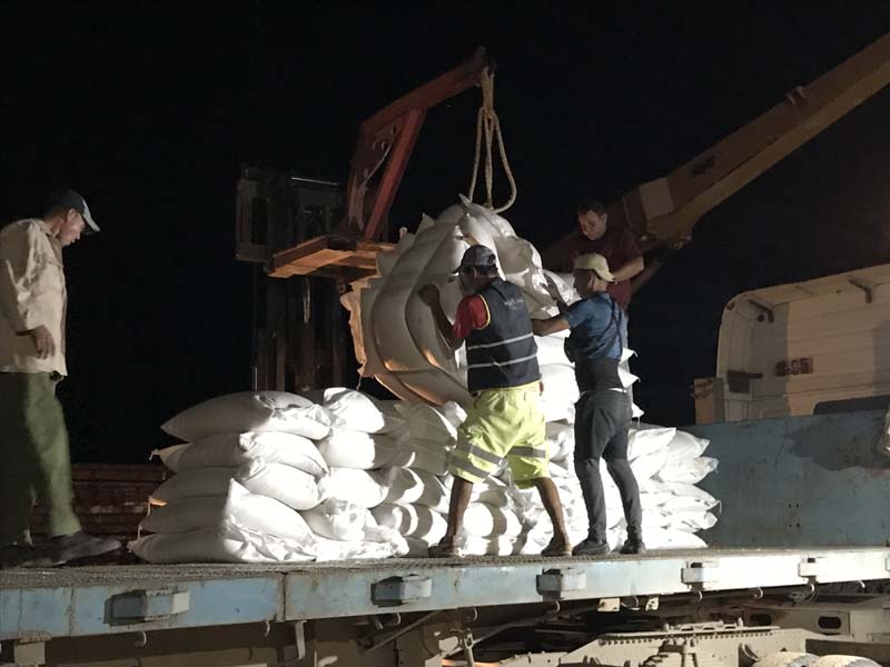 Los vehículos están a la espera, para realizar la distribución por toda la provincia. Foto 4