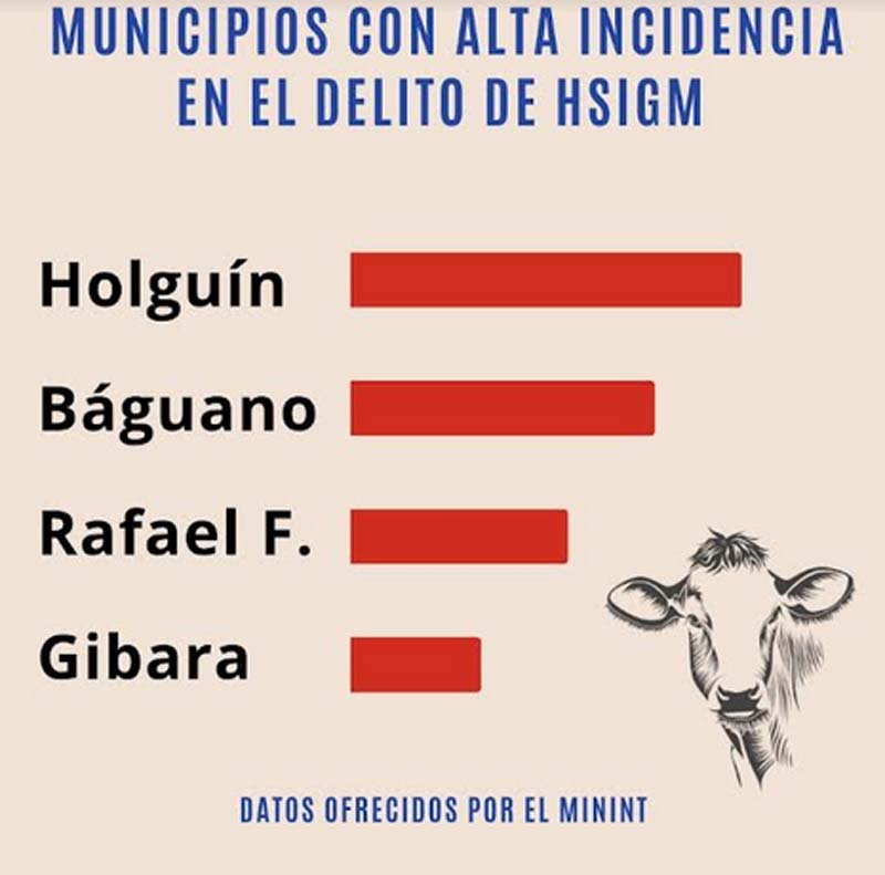 ganado 02