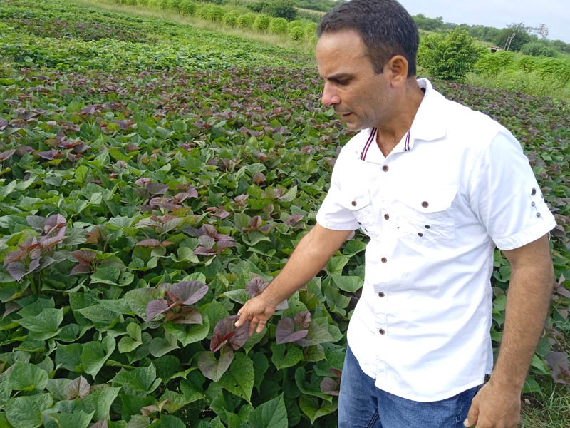 unidad investigación agropecuaria 2