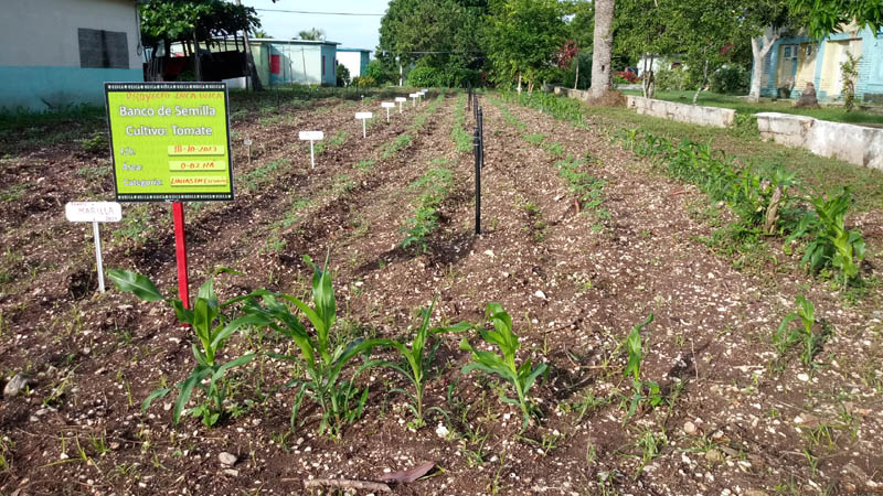 unidad investigación agropecuaria 3