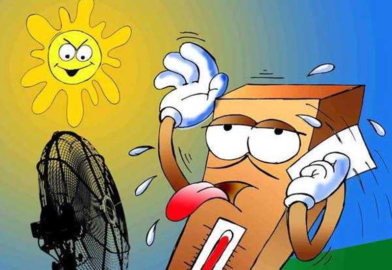 Calor, acidez y escasez de alimento amenazan los ecosistemas marinos – Agência Brasil