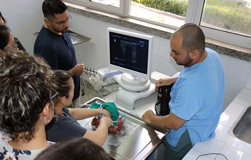 nefrología intervencionista curso 1