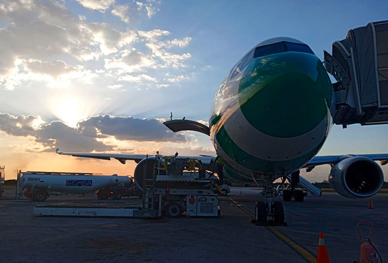 cóndor aeropuerto ELA 03