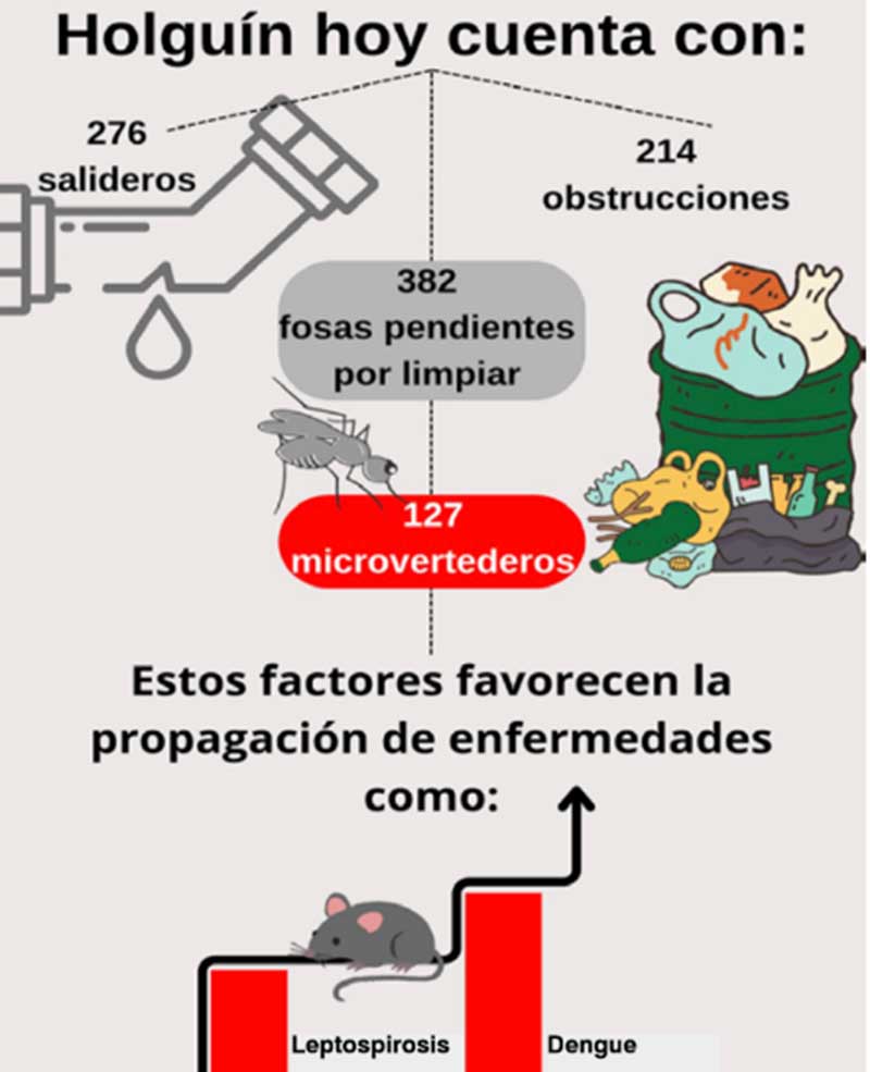  basura 11