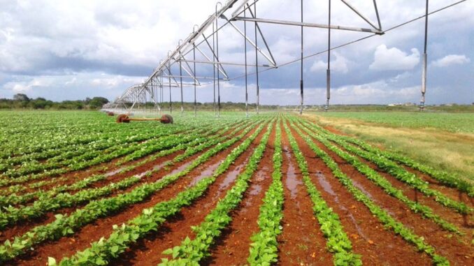 Agricultura FAO