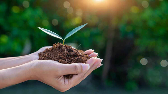 Medio Ambiente