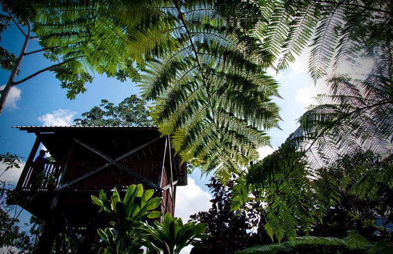 1223 holguin areas protegidas4