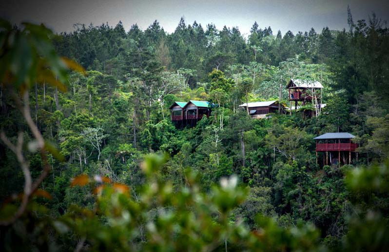 1223 holguin areas protegidas5