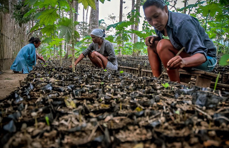 1227 holguin practicas agroecologicas