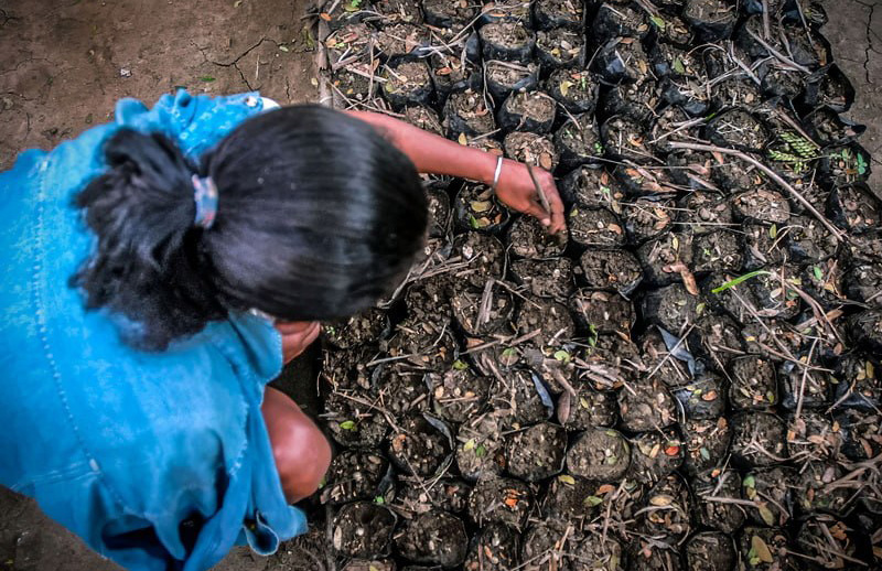 1227 holguin practicas agroecologicas2