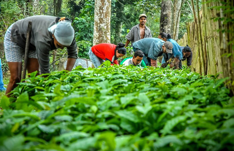1227 holguin practicas agroecologicas3