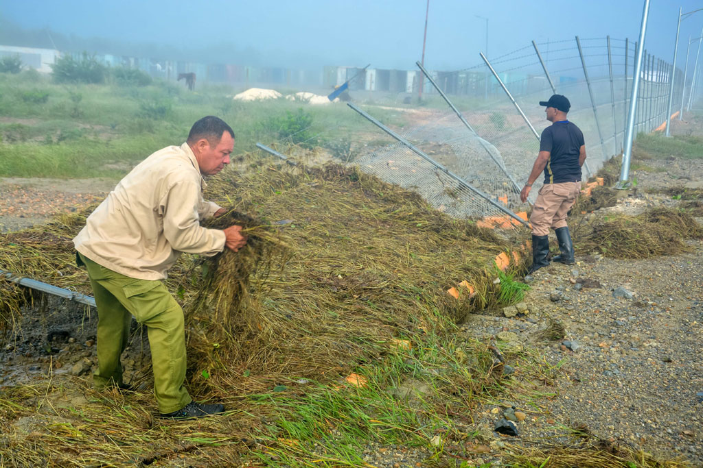 recuperación melissa 05