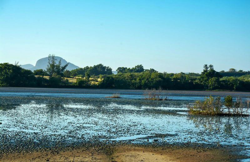 0227 naturaleza sostenible holguin ecoagenda10