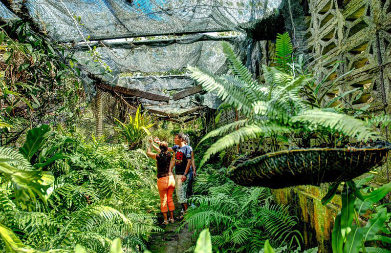 0227 naturaleza sostenible holguin ecoagenda5