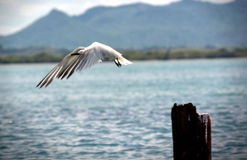 0227 naturaleza sostenible holguin ecoagenda7